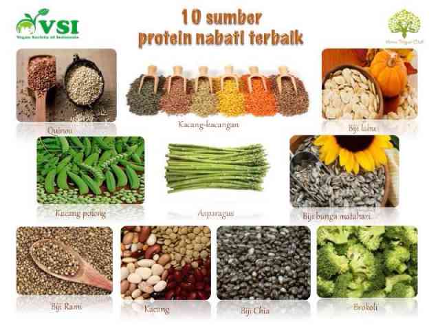 Detail Contoh Protein Nabati Nomer 15