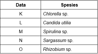 Detail Contoh Protein Sel Tunggal Nomer 12