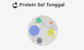 Detail Contoh Protein Sel Tunggal Nomer 3