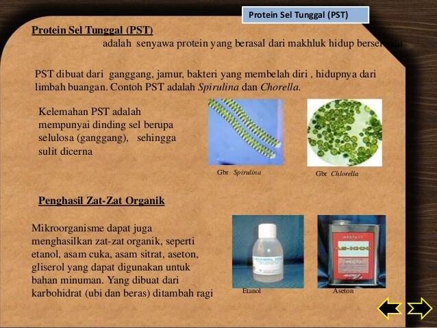 Detail Contoh Protein Sel Tunggal Nomer 6