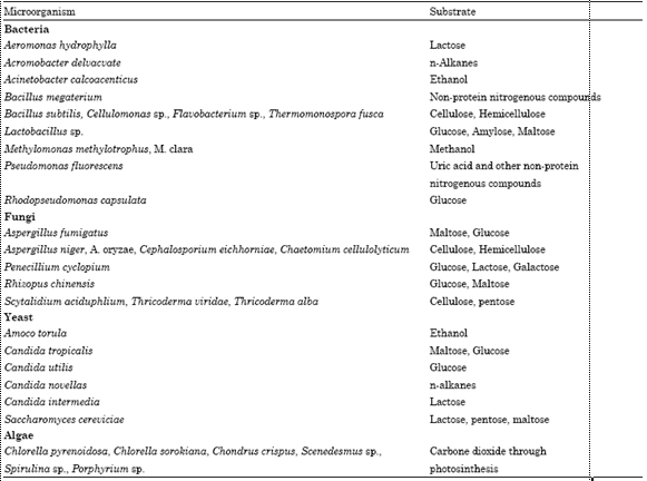 Detail Contoh Protein Sel Tunggal Nomer 46