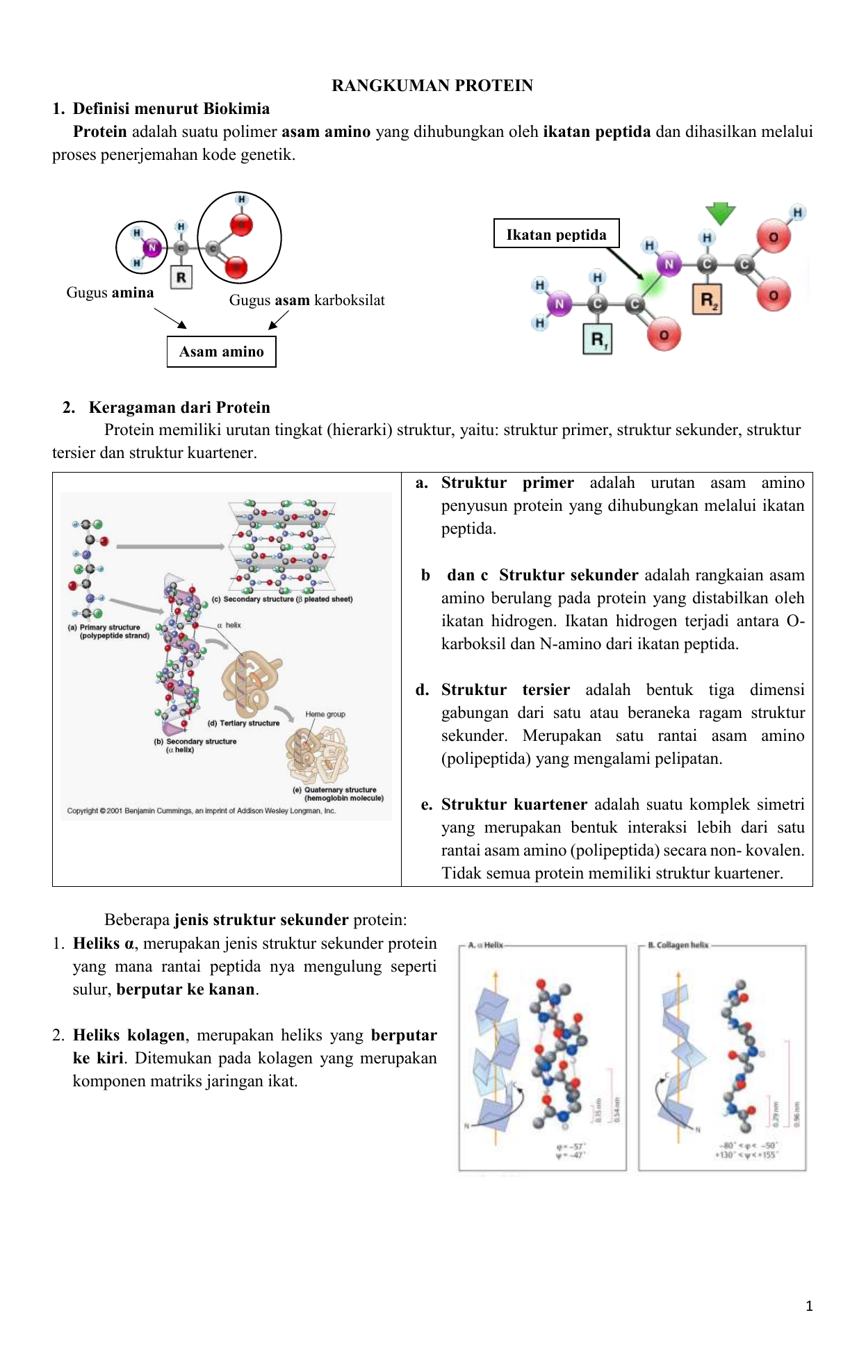 Detail Contoh Protein Struktural Nomer 15