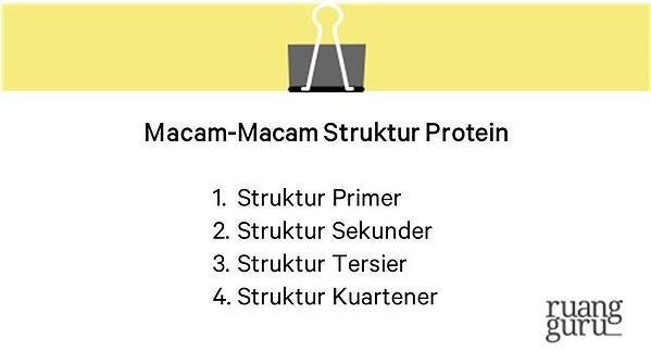 Detail Contoh Protein Struktural Nomer 32