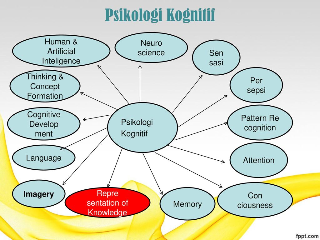 Detail Contoh Psikologi Kognitif Nomer 8