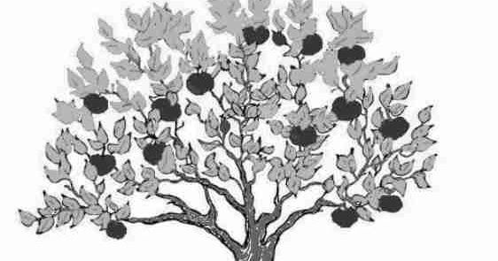 Detail Contoh Psikotes Gambar Pohon Nomer 16