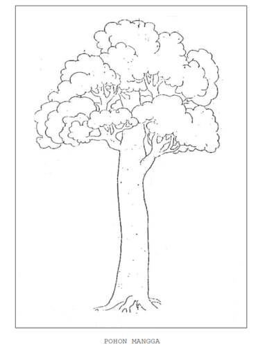 Detail Contoh Psikotes Gambar Pohon Nomer 5