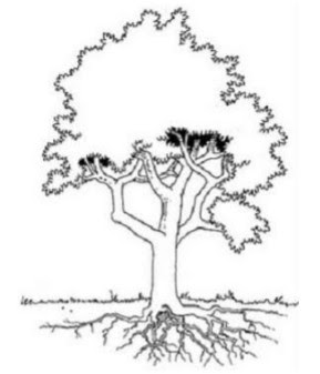 Detail Contoh Psikotes Gambar Pohon Nomer 41