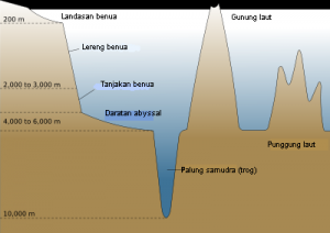 Contoh Punggung Laut - KibrisPDR