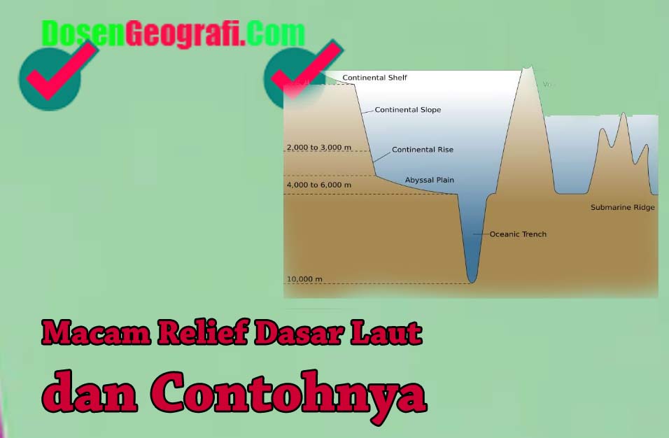 Detail Contoh Punggung Laut Nomer 18