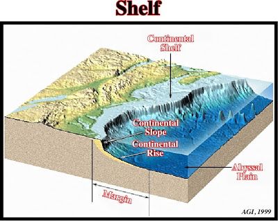 Detail Contoh Punggung Laut Nomer 3