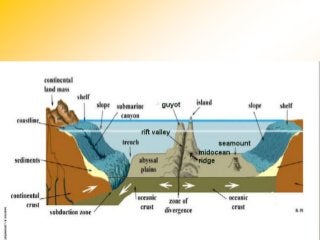 Detail Contoh Punggung Laut Nomer 26