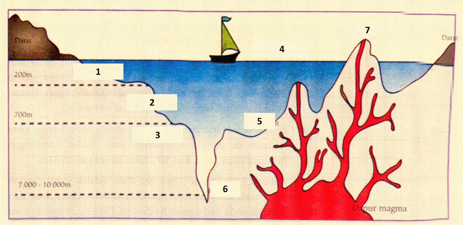 Detail Contoh Punggung Laut Nomer 30