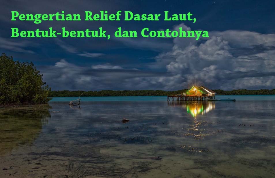 Detail Contoh Punggung Laut Nomer 37