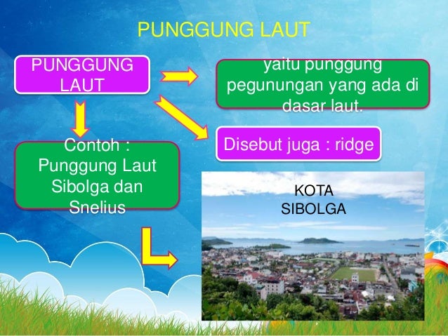 Detail Contoh Punggung Laut Nomer 40