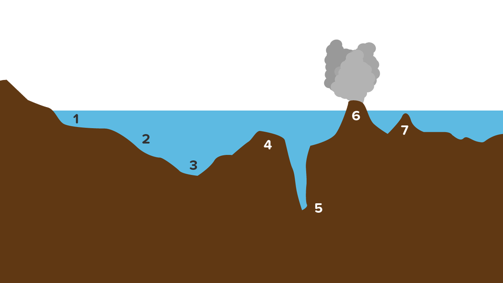 Detail Contoh Punggung Laut Nomer 47