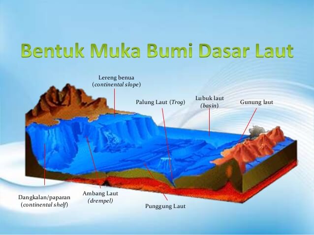 Detail Contoh Punggung Laut Nomer 7