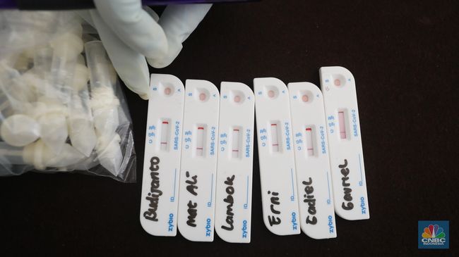 Detail Contoh Rapid Test Antigen Nomer 31