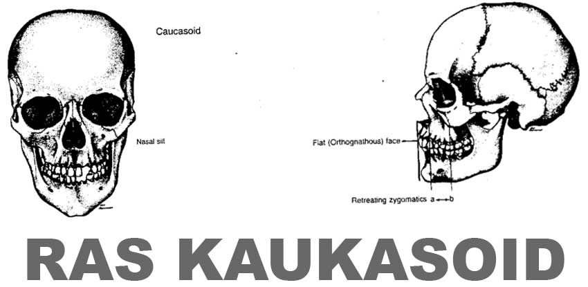 Detail Contoh Ras Negroid Nomer 31