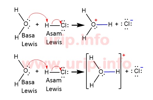 Detail Contoh Reaksi Asam Basa Nomer 42
