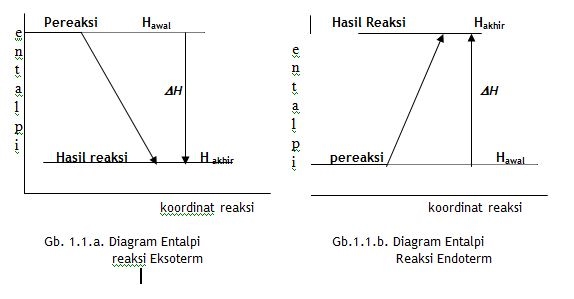 Detail Contoh Reaksi Eksoterm Dan Endoterm Nomer 33