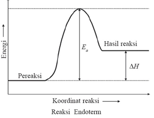 Detail Contoh Reaksi Eksoterm Dan Endoterm Nomer 35