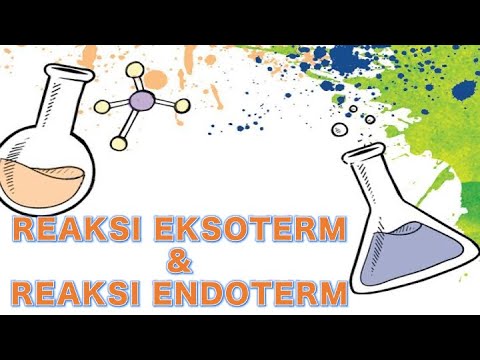 Detail Contoh Reaksi Eksoterm Dan Endoterm Nomer 45