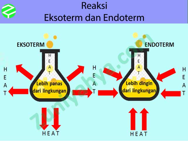 Detail Contoh Reaksi Endoterm Dan Eksoterm Nomer 11