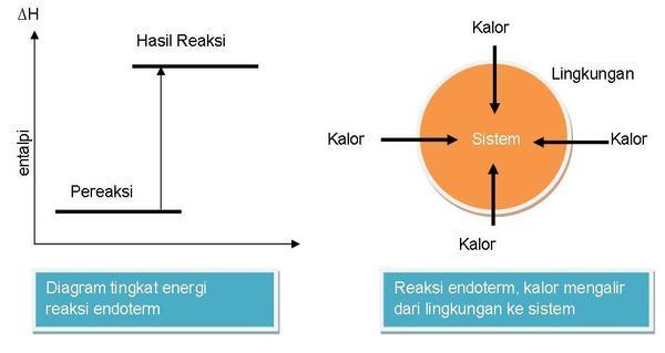 Detail Contoh Reaksi Endoterm Dan Eksoterm Nomer 43