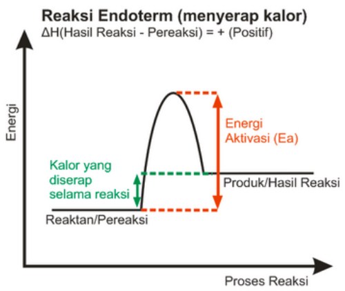 Detail Contoh Reaksi Endoterm Dan Eksoterm Nomer 47