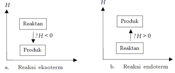 Detail Contoh Reaksi Endoterm Dan Eksoterm Nomer 7