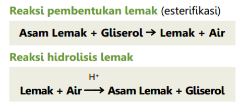 Detail Contoh Reaksi Pembentukan Nomer 55