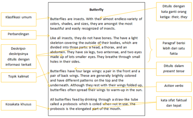 Detail Contoh Report Presentation Nomer 45