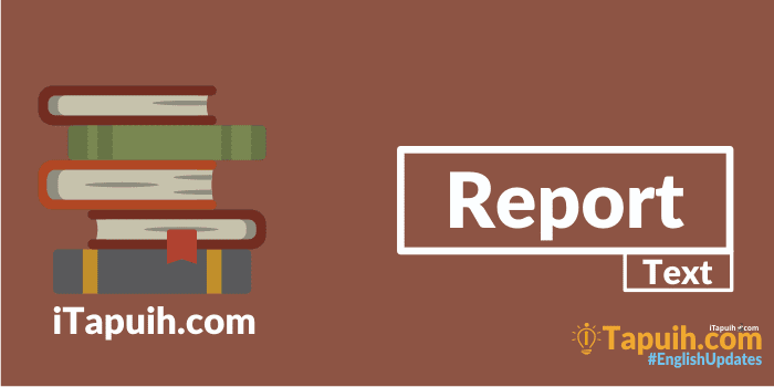 Detail Contoh Report Text Panjang Nomer 16