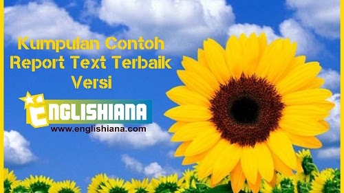 Detail Contoh Report Text Panjang Nomer 17