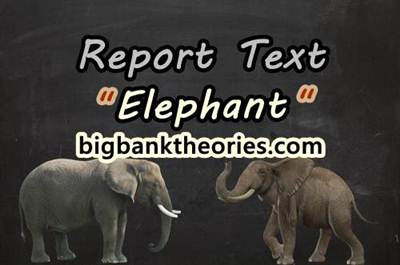 Detail Contoh Report Text Panjang Nomer 31