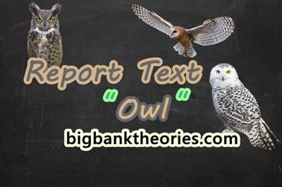 Detail Contoh Report Text Panjang Nomer 50