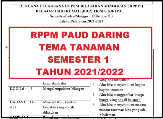 Detail Contoh Rppm Paud Nomer 52