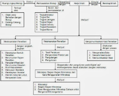 Detail Contoh Ruang Lingkup Biologi Nomer 33