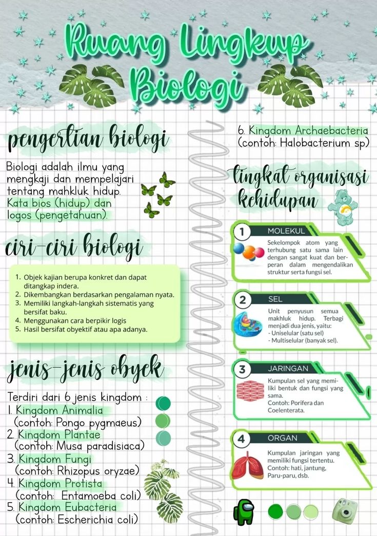 Detail Contoh Ruang Lingkup Biologi Nomer 6