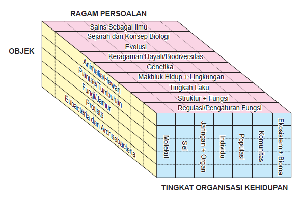 Detail Contoh Ruang Lingkup Biologi Nomer 47