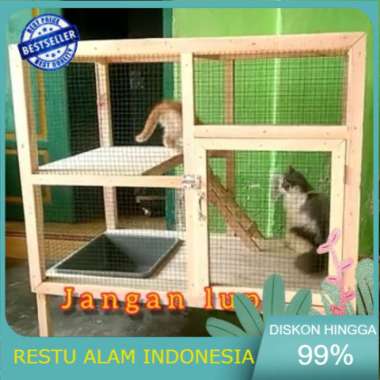 Detail Contoh Rumah Kucing Nomer 43