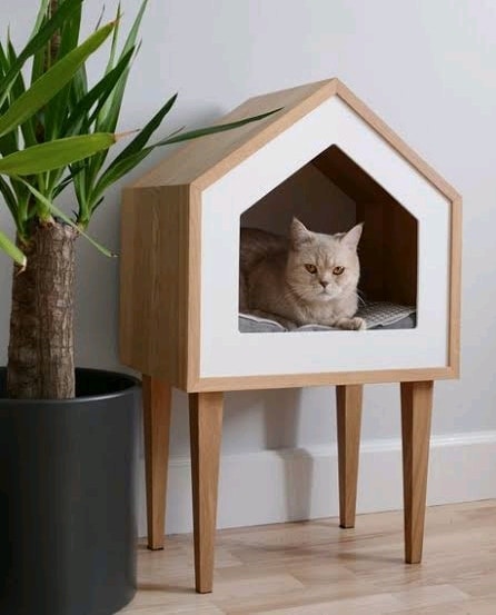 Detail Contoh Rumah Kucing Nomer 44