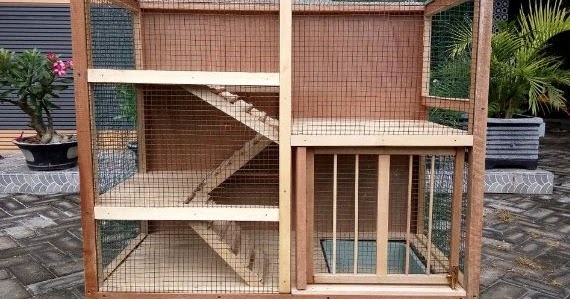 Detail Contoh Rumah Kucing Nomer 8