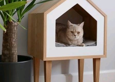 Detail Contoh Rumah Kucing Dari Kardus Nomer 21