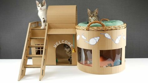 Detail Contoh Rumah Kucing Dari Kardus Nomer 31