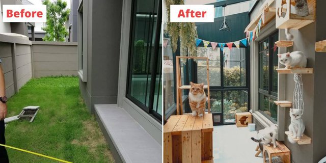 Detail Contoh Rumah Kucing Outdoor Nomer 24