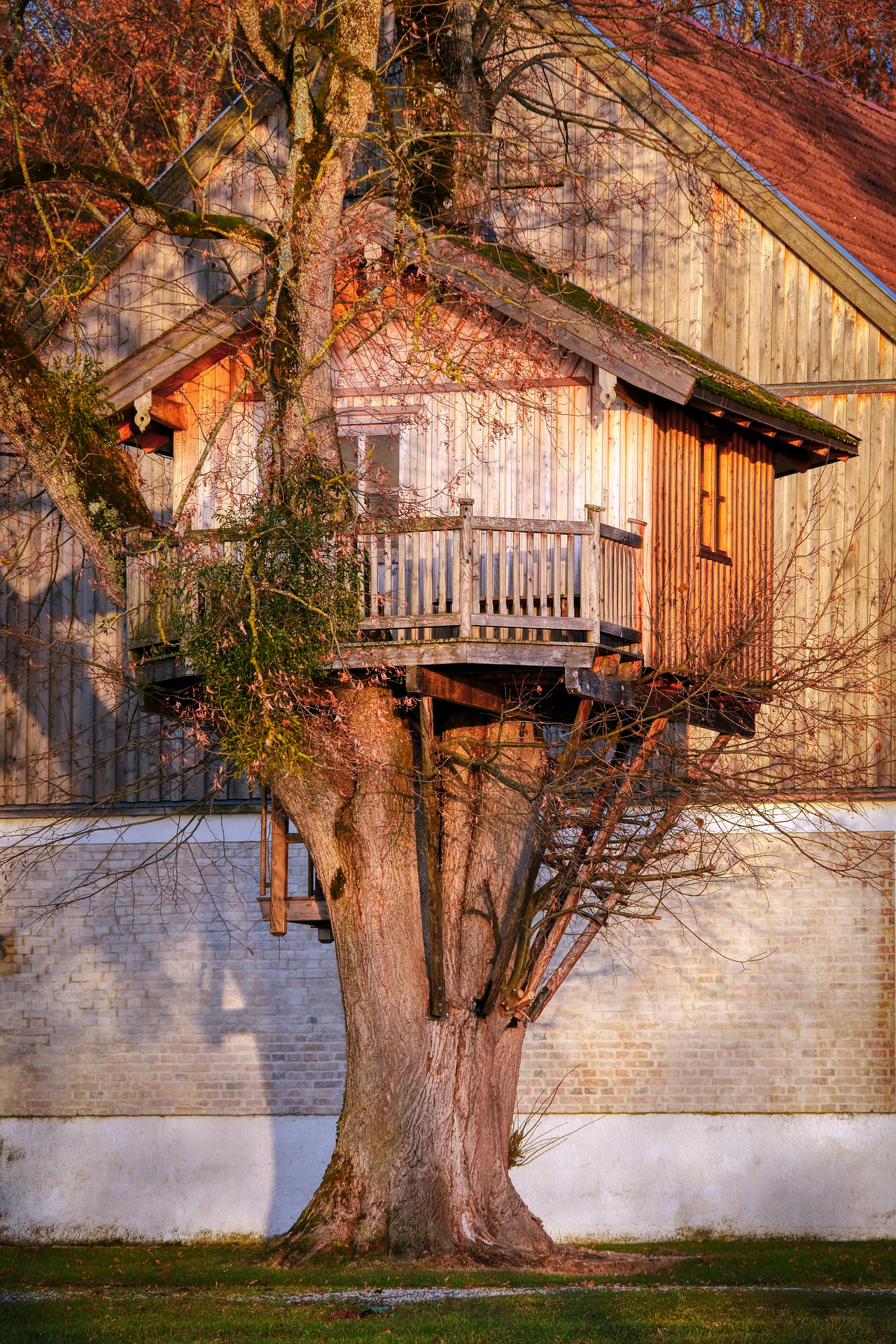 Detail Contoh Rumah Pohon Nomer 16
