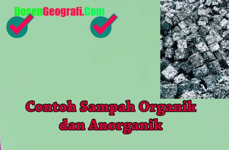 Detail Contoh Sampah Organik Dan Non Organik Nomer 30