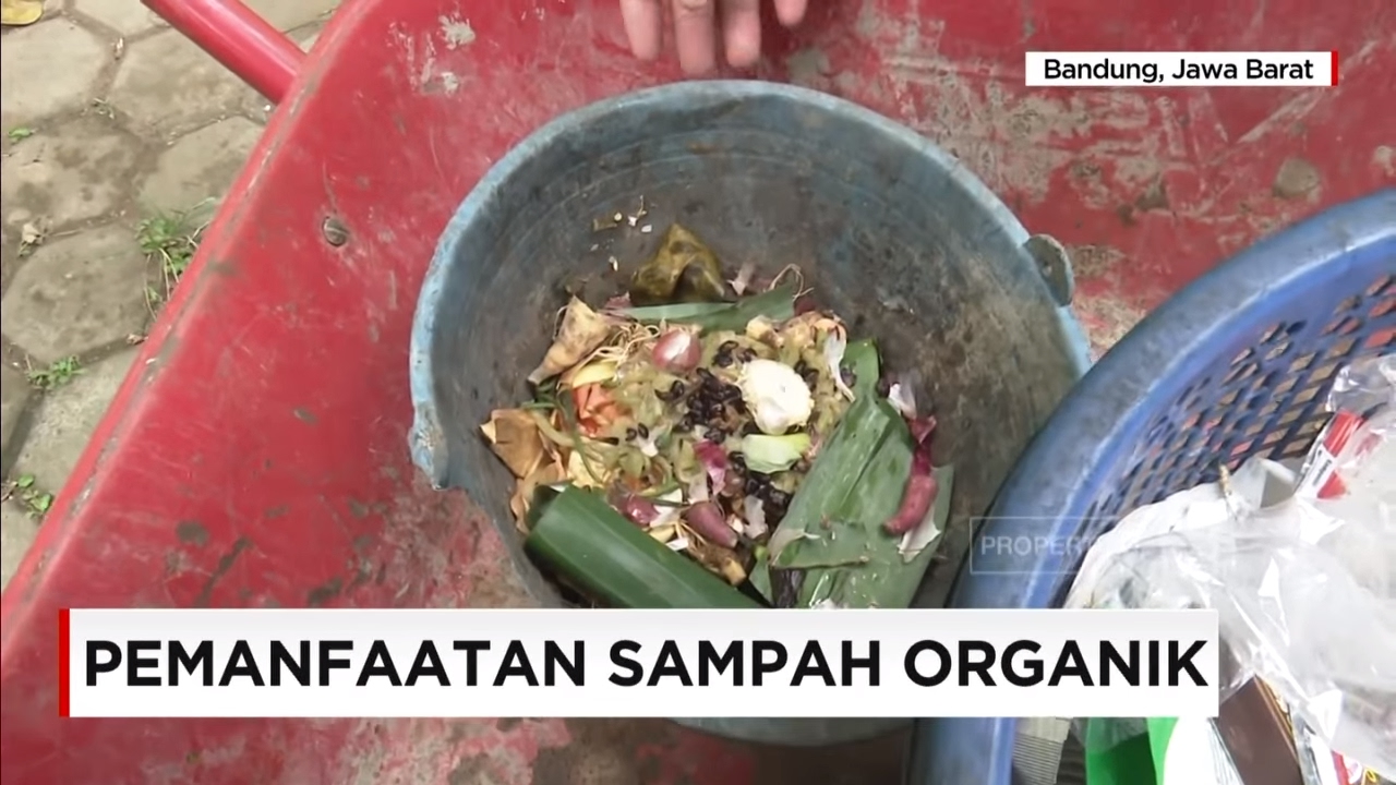 Detail Contoh Sampah Organik Rumah Tangga Nomer 41