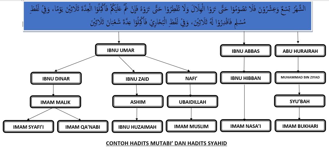 Detail Contoh Sanad Hadits Nomer 12